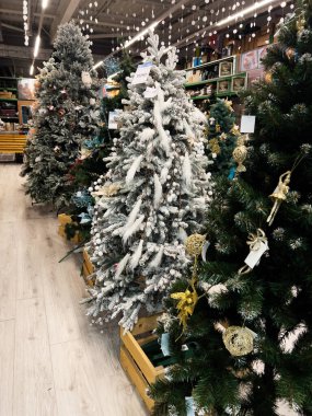 Kyiv, Ukrayna - 02 Aralık 2024: Kapalı alanda sergilenen süs ve dekorasyonlarla süslenmiş yapay Noel ağaçları koleksiyonu. Mağazada çeşitli şenlik dekorasyonları sergileniyor.