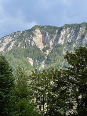 Bu görüntü engebeli uçurumlar ve sık ormanların bulunduğu nefes kesici bir dağ manzarası yakalıyor. Yeşillik, heybetli kaya oluşumlarıyla çok güzel tezat oluşturuyor. Huzurlu ve doğal bir manzara sunuyor.. 