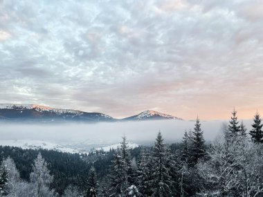 Karla kaplı bir sıradağ, don kaplı ağaçlar ve gün batımının ılık renkleriyle aydınlatılan sakin sisli bir vadi içeren sakin bir kış manzarası..