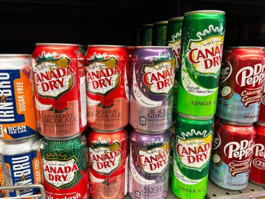 Kyiv, Ukrayna - 4 Şubat 2025: Kanada 'nın çeşitliliği zencefilli gazoz ve aromalı içecekler de dahil olmak üzere kuru soda içecekleri