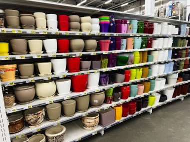 Lviv, Ukrayna - 16 Şubat 2025: Düzenli bir şekilde raflara dizilmiş bitki saksıları