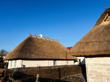 Güneşli gökyüzünün altında güneşlenen sazdan çatıları olan büyüleyici Ukrayna evleri.