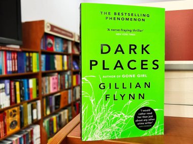 Lviv, Ukrayna - 20 Şubat 2025: Gillian Flynn 'in Dark Places' in kitap kapağı