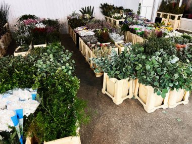 Kırsal ahşap kasalarda saklanmış çeşitli çiçek ve yeşillik koleksiyonu.