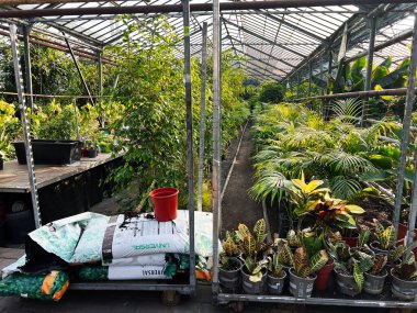 Orada yeşil yapraklı, kabuklu otlar ve baharatlarla dolu bir sera vardır..