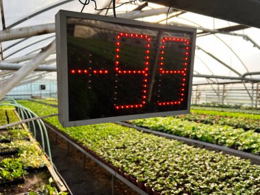 Geniş bir serada bitkilerle birlikte sıcaklığı gösteren parlak kırmızı bir LED ekran.