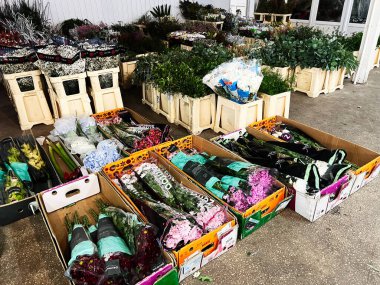 Kyiv, Ukrayna - 25 Şubat 2025: Açık bir çiçekçide kutulara ve sandıklara yerleştirilmiş çeşitli taze çiçekler.