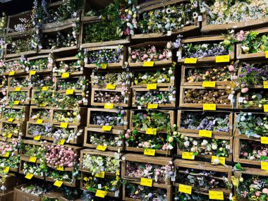 Kyiv, Ukrayna - 26 Şubat 2025: Sandıklara yerleştirilmiş yapay çiçekler canlı ve renkli bir görüntü yaratıyor