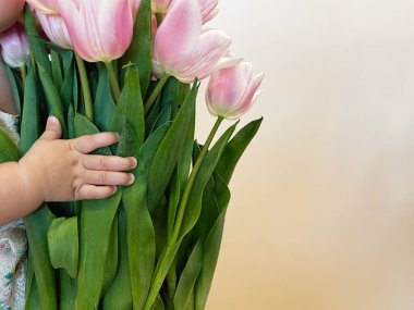 Güzel bir buket pembe laleye dokunan bir çocuğun eli.