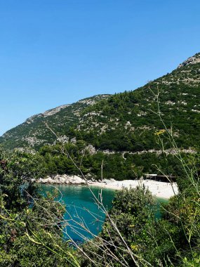 Hırvatistan 'ın Zümrüt suları, yemyeşil tepeler ve yoğun bitki örtüsüyle çevrili pitoresk bir plajı Veliki Zal.