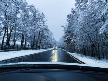 Kar ve araç farları görünen çıplak ağaçlarla kaplı kış yolu sahnesi