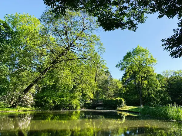 Yeşil ağaçlar, durgun su ve tuhaf ahşap bir köprüden oluşan sakin bir manzara..