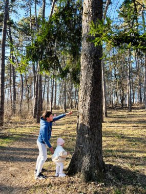 Çocuklar güneş ışığı altında bir ormanda doğa yürüyüşünden zevk alıyorlar..