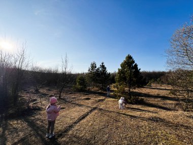 Manzaralı bir orman ortamında açık hava aktiviteleri yapan bir aile.