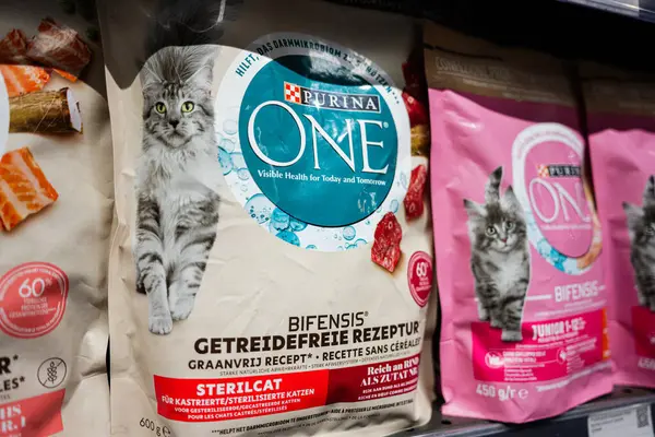 Lviv, Ukrayna - 25 Mart 2025: Kedi bir hayvan dükkanının raflarında sergilenen Purina One gıda ürünlerine odaklandı