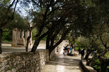 Fatima, Portekiz - 24 Mart 2025: Portekiz 'in Fatima kentinde turistlerin ziyaret ettiği zeytin ağaçlarıyla dolu sakin bir patika.