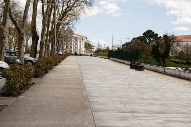 Fatima, Portekiz - 24 Mart 2025: Portekiz 'in Fatima şehrinde ağaçlar ve kentsel manzarayla çevrili Paved Caddesi.