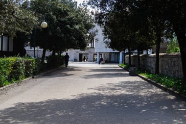 Fatima, Portekiz - 26 Mart 2025: Fatima 'da ağaçlı ve modern bina manzaralı sakin bir kaldırım yolu
