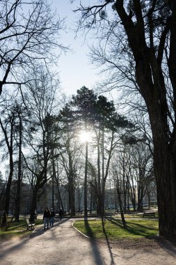 Lviv, Ukrayna - 31 Mart 2025: İnsanlar Lviv, Ukrayna 'da yürüyüş yollarının keyfini çıkarırken ağaçların arasından güneş ışığının aktığı manzaralı bir park. 