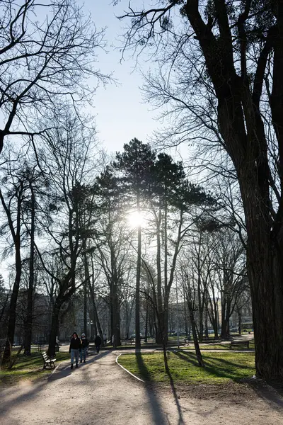 Lviv, Ukrayna - 31 Mart 2025: İnsanlar Lviv, Ukrayna 'da yürüyüş yollarının keyfini çıkarırken ağaçların arasından güneş ışığının aktığı manzaralı bir park. 