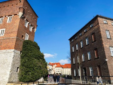 Krakow, Polonya - 16 Mart 2025: Parlak gökyüzü ve doğal büyüme altındaki Krakow tarihi yapılarının büyüleyici görünümü.