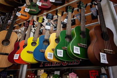 Lviv, Ukrayna - 01 Nisan 2025: Parlak renkli Ortega ukuleleler bir müzik mağazasında sergilenen raflarda sergilendi