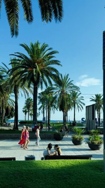 Salou, İspanya - 20 Ağustos 2023: Gezinti güvertesinde güneşli bir gün, palmiye ağaçları ve manzaralı bir yürüyüşün tadını çıkaran insanlar.