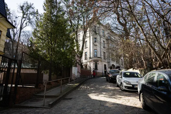 Lviv, Ukrayna - Nisan 06, 2025: Tarihi bir bina, park edilmiş arabalar ve Lviv, Ukrayna 'da çıplak ağaçlarla dolu huzurlu bir sokak sahnesi.