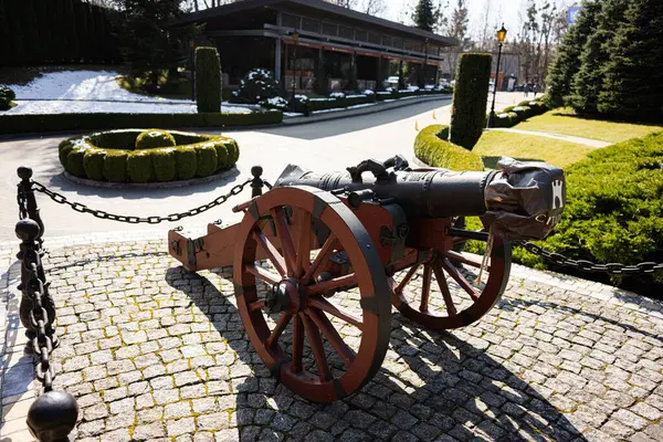 Lviv, Ukrayna - Nisan 06, 2025: Lviv, Ukrayna 'da asfalt yolları ve yeşillikleri olan güzel manzaralı bir parka karşı antik top seti.