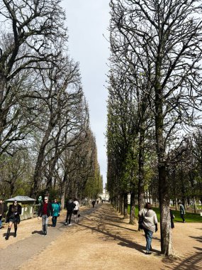 Paris, Fransa - 28 Mart 2025: Güneşli bir günde Paris, Fransa 'da ağaçlarla kaplı bir yürüyüş yolu