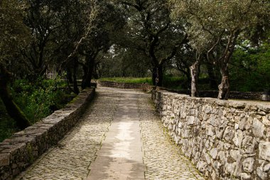 Taş duvarlar ve yemyeşil çimlerle çevrili geleneksel bir kaldırım.