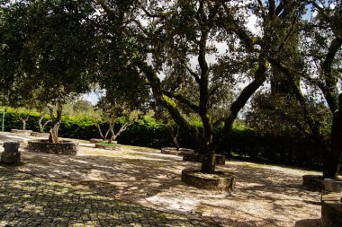 Portekiz 'de ağaçlar, taş banklar ve doğal çevreyle sakin bir açık alan.