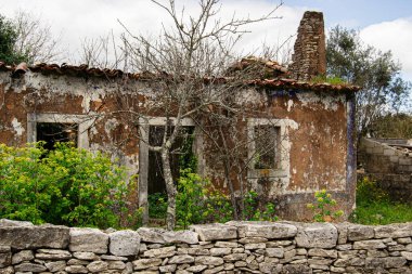 Yeşillik, taş duvarlar ve sakin Fatima, Portekiz 'de ağaçları olan terk edilmiş bir köy evi.