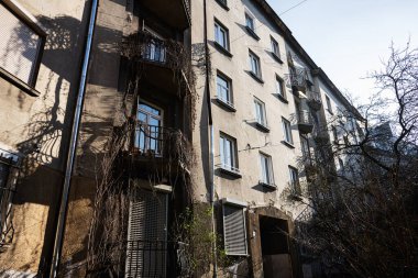 Lviv, Ukrayna 'daki cephesinde sarmaşıklar ve gölgeler olan tarihi bir yerleşim yeri..