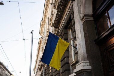 Lviv 'deki tarihi bir binada mavi ve sarı Ukrayna bayrağı sergilendi
