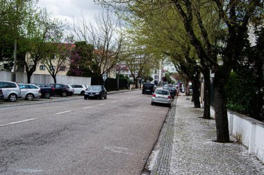 Fatima, Portekiz - 15 Nisan 2025: Fatima, Portekiz 'de arabaları park edilmiş ve yapraklı ağaçları olan boş şehir caddesi
