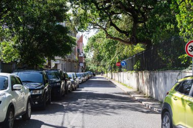 Caldas da Rainha, Portekiz - 17 Nisan 2025: Portekiz 'in Caldas da Rainha şehrinde canlı ağaçlar ve park halindeki arabalarla çevrili bir cadde