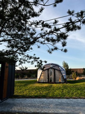 Okhrymivtsi, Ukrayna - 23 Nisan 2025: Canlı ve yeşil bir bahçeye yerleştirilmiş sera manzarası