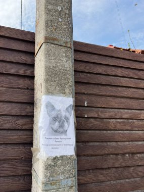 Kyiv, Ukrayna - 23 Nisan 2025: Bağlantı bilgileri sergilenen kayıp bir köpek için direğin üzerindeki poster