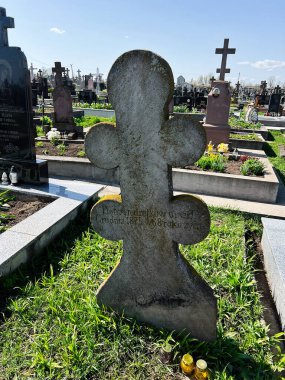 Khorostkiv, Ukrayna - 23 Nisan 2025: Güneşli bir günde tarihi mezar taşları ve taze çiçeklerle huzurlu bir mezarlık.