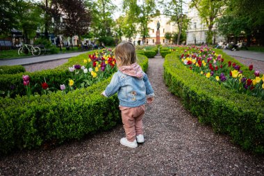 Çiçeklerin arasında yürüyen genç bir çocuk yemyeşil bir parkta