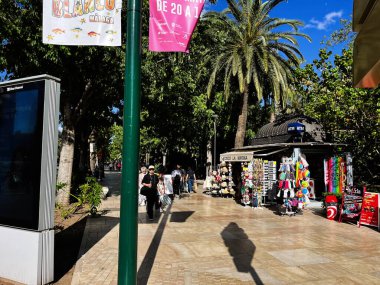 Malaga, İspanya - 02 Mayıs 2025: Palmiye ağaçları ve renkli satıcı vitrinleriyle Malaga 'da manzaralı bir açık pazar caddesi