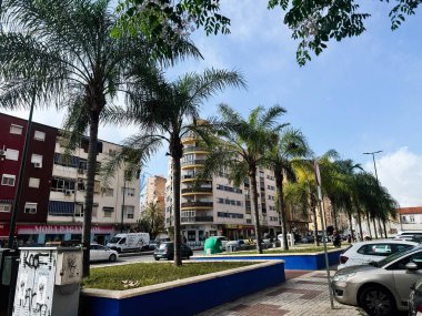 Malaga, İspanya - 02 Mayıs 2025: İspanya 'nın Malaga kentinde palmiye ağaçları, kentsel binalar ve otomobillerin yer aldığı güneşli bir şehir manzarası.