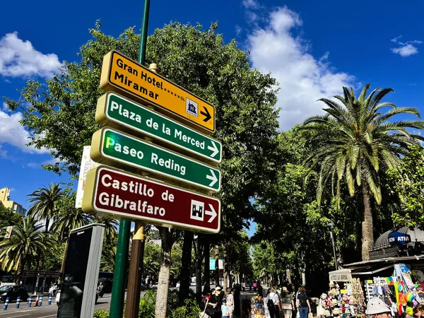 Malaga, İspanya - 02 Mayıs 2025: Güneşli bir günde Malaga, İspanya 'da yemyeşil bir şehir merkezinde sokak işaretleri.