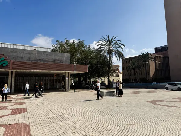 Malaga, İspanya - 02 Mayıs 2025: Malaga, İspanya 'da binalar, palmiye ağaçları ve insanlarla dolu bir şehir meydanı.