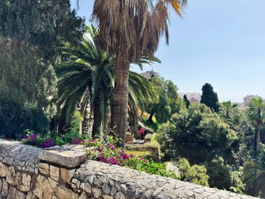 Malaga, İspanya - 02 Mayıs 2025: Güneş ışığı altında palmiye ağaçları, çiçekler ve doğal taş duvarların yer aldığı canlı bir park sahnesi