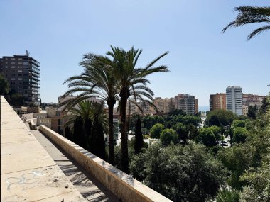 Malaga, İspanya - 02 Mayıs 2025: Malaga, İspanya 'da palmiye ağaçları ve şehir manzarası, doğa ve mimariyi uyumlu bir şekilde harmanlıyor.