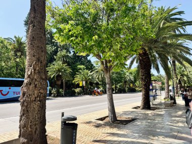 Malaga, İspanya - 02 Mayıs 2025 Malaga, İspanya 'da şehir caddesi ve kaldırım kenarındaki palmiye ağaçları ile hareketli bir gün.