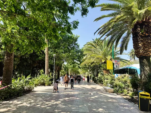 Malaga, İspanya - 02 Mayıs 2025: İspanya 'nın Malaga şehrinde yaz mevsiminde insanlarla birlikte palmiye ağaçlarıyla gölgelenmiş patikalar boyunca yürüyüş.