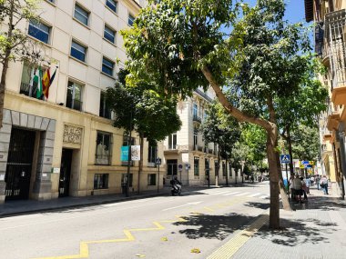 Malaga, İspanya - 02 Mayıs 2025: İspanya 'nın Malaga kentsel sokak sahnesi, ağaçlar, binalar ve güneş ışığı